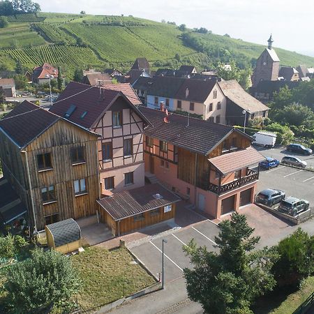 Pinot Gris - Charmant Studio Au Coeur Du Vignoble - Parking Gratuit Riquewihr Eksteriør bilde