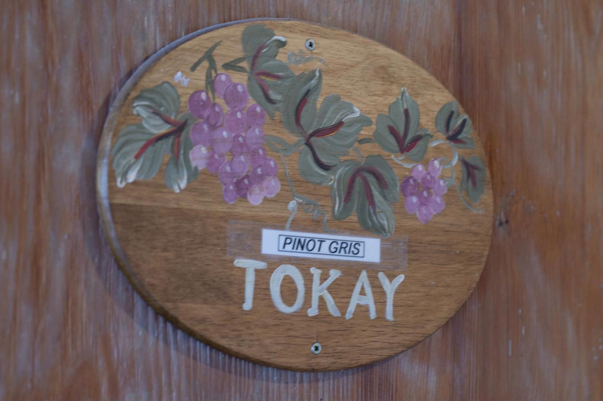 Pinot Gris - Charmant Studio Au Coeur Du Vignoble - Parking Gratuit Riquewihr Eksteriør bilde