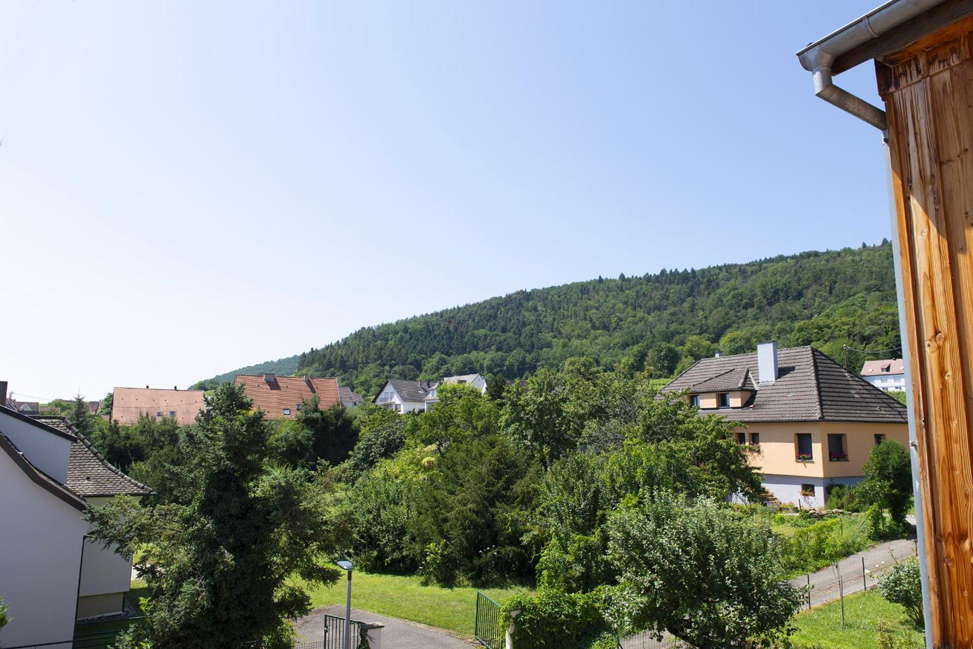 Pinot Gris - Charmant Studio Au Coeur Du Vignoble - Parking Gratuit Riquewihr Eksteriør bilde